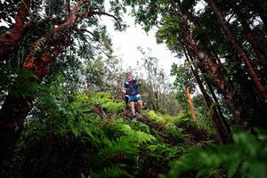 BIB: 
                            <button type="button" onclick="openModal(26204169)" class="btn btn-primary btn-sm float-right btn-popup" data-toggle="modal" data-target=".modal-high-quality">
                        <i class="fas fa-shopping-cart"></i> Add to Cart
                    </button>
                                            <button type="button" onclick="isThisMe(26204169, true)" class="btn btn-success btn-sm float-right btn-popup btn-isme hidden" data-toggle="tooltip" data-placement="bottom" title="นี่คือรูปของคุณใช่ไหม คลิกที่นี่เพื่อเอาเข้าอัลบั้ม">
                        <i class="fas fa-plus"></i> Add to album
                    </button>
                    <button type="button" onclick="isThisMe(26204169, false)" class="btn btn-warning btn-sm float-right btn-popup btn-isnotme hidden">
                        <i class="fas fa-ban"></i> Remove from album
                    </button>